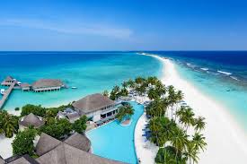 Beautiful beaches with amazing sealife. The Best Beaches In The Maldives