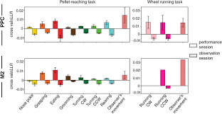 Action Representation In The Mouse Parieto Frontal Network