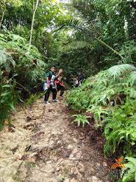 We did not find results for: Hiking Di Setia Alam Selangor Peak Garden Setia Ecopark Iuzira