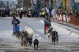 I've been waiting a long time': Shorter race doesn't stop mushers and dog  teams at Fur Rondy