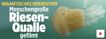 Auf handelsblatt lesen sie news über unternehmen, finanzen, politik und technik. Aktuelle Nachrichten Bild De Aktuell Nachrichten Aktuelles Nachrichten