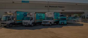 Discrimination in university employment, programs, or activities based on race, color, ethnicity, sex, pregnancy, religion, national origin, disability, age, sexual orientation, gender identity, genetic information, status as a u.s. Oc Wholesale Flowers Contact Us