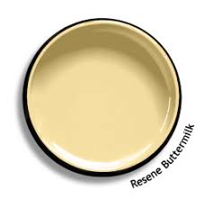 resene buttermilk colour swatch resene paints