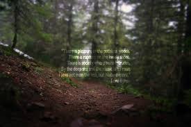 There Is Pleasure In The Pathless Woods There Is A Rapture On The Lonely Shore There Is Society Where None Intrudes By The D Nature Quotes Byron Lord Byron