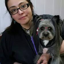 TOP 10 BEST Dog Grooming School near Crosby, TX