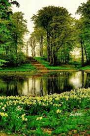 See more ideas about nature, gif, beautiful gif. Gif Nature Gifs Tenor