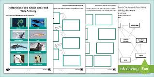 Whether you're cooking for a crowd or serving yourself, these food network recipes are the most popular around. Food Web Diagram Antarctica Food Chain Twinkl