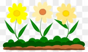 Cinta bunga matahari, kota bambu utara. Sunflower Cartoon Cliparts 27 Buy Clip Art Vektor Bunga Taman Png Free Transparent Png Clipart Images Download