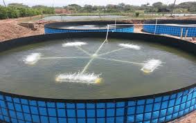 Proyecto Desarrollado En El Ano 2014 Para Piscicultores De Asosierra En Este Municipio Tolimense Cria De Peces Acuaponia Estanques De Peces