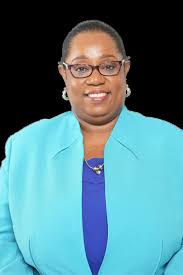 MDS Company Profile 2024-25 by imaginit