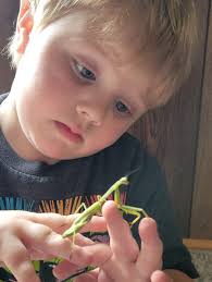 Teach your children to respect nature. West Kentucky