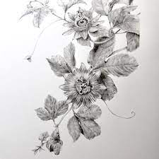 At last, it becomes quite important to understand the fact that tattoo not only represents your social life and style. Passiflora Completed Tried My Hand At A Simple Botanical Composition This Time My Doubts Arose When Tacklin Flower Drawing Flower Sketches Drawings