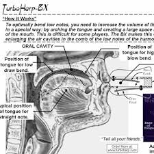 turboharp turbobend bx custom hohner harmonica for