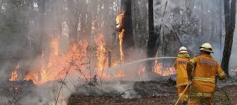 Kali ini kosngosan akan memberikan kepada mu prediksi soal dan kunci jawaban dibidang tes wawasan kebangsaan yang diperoleh dari pelaksanaan sebelumnya serta adanya. Soal Geografi Pedosfer Pilgan Esai Jawaban Lengkap Muttaqin Id