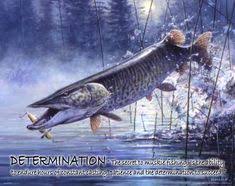 Check spelling or type a new query. 24 Musky Fishing Muskie Angeln Ideen Angeln Fische Fisch Illustration