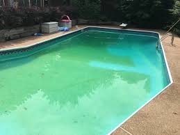 After testing, the pool store told us that, in all probability there is new algae forming and dying. Pool Plight Onecreativescientist