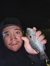 Ever wrestled a flathead this fat? Rod tip buried, drag screaming, the Zakk  Royce Big Cat Fever rod don't play. Tag a buddy who's still chasing 20s.  #hellcat #catfishlife #catchthefever