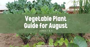 Planting In August Zones 7 8 Our Stoney Acres