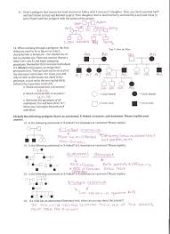 Therefore, the male exhibiting the trait in the pedigree. Genetics Pedigree Worksheet Answer Key In 2021 Biology Worksheet Middle School Genetics Middle School Lesson Plans