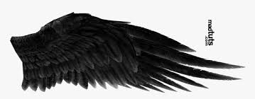 Angel wings free vector art 6113 free downloads. Black Wings Png Free Download Black Angel Wings Png Transparent Png Transparent Png Image Pngitem