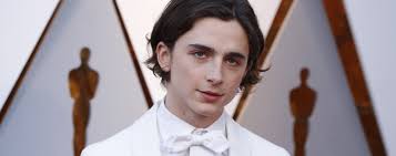 Oscar nominee Timothee Chalamet gets a 'Sweet' Chinese nickname