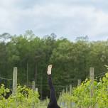 Vinyasa and Vino at Wind Vineyards