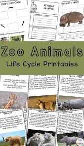 Zoo Animals Life Cycle Printables Animal Life Cycles Zoo Animals Life Cycles