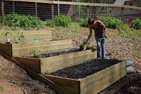 Raised Beds On A Hill Google Search Sloped Garden Vegetable Garden Raised Beds Garden On A Hill