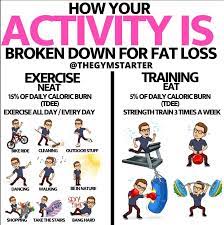The Gym Starter - Empowering Your Fitness Journey