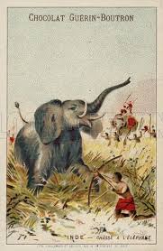 Elephant hunt, India stock image | Look ...