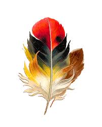 Birds Of A Feather New Vegas Bug A Free Image Blog Offering Royalty Free Printable Clip Art Graphics Digital Downloads And Illustration Feather Clip Art Feather Illustration Feather Graphic