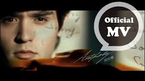 Chinese Pinyin Lyrics: Sorry That I Loved You