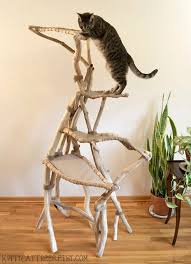 Some fish are unique in that they restore both hp and mp, unlike any other consumables aside from mushroom soup. Amazing Cat Trees And Where To Find Them Happy Cat Corner