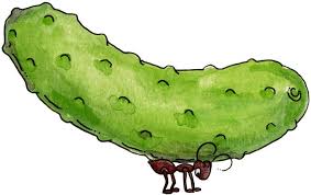 Pickle Clipart Image Clip Art Library Clip Art Clip Art Library Ants