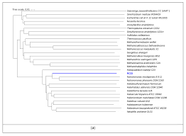 Genes Free Full Text Temporal Analysis Of The Microbial