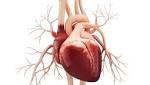  Study: Exergaming improves quality of life in heart failure patients