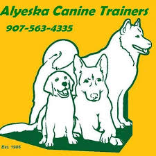 The dogs and puppies that alaska dog and puppy rescue put up for adoption are ones that they have rescued from various shelters since its launch, alaska dog and puppy rescue has relied on volunteers to operate successfully. Alaska Dog And Puppy Rescue Home Facebook