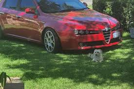 Image result for Blue Zaffiro 2007 159