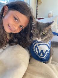 Dr Wong Orthodontics