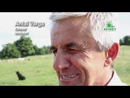 Agroforestry in Europe (full film)