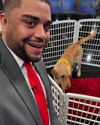 It's been since November since last time I worked with Bryan Still!☀️🌧️ He  said I look much bigger now. Swipe to the end to see how “small” I was back  in November!