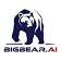 Bigbear.ai