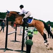 New users enjoy 60% off. 64 Horse Riding Reference Ideas Horse Riding Horses Riding