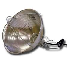 Hdx 300 Watt Incandescent Brooder Clamp Light Hd 303pdq The Home Depot Work Lights Mason Jar Light Fixture Geometric Ceiling Light