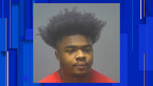 7 Michigan men arrested for trying to meet up with young boys, girls for  sex, police say