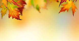 صور خلفيات بوربوينت روعه خلفيات ورود ورسومات جميلة autumn leaves background leaf background fall borders