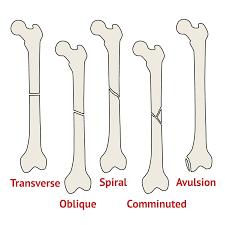 Pin On Infographics