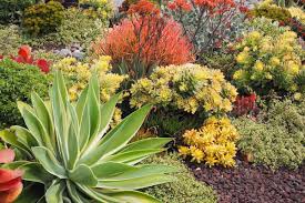 Arranging international garden tours for small groups with carextours. Succulent Garden Design Essentials From An Award Winning Garden