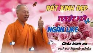 Meme ⚡ Sư thầy nói rất xinh đẹp, tuyệt vời, ngàn like