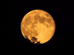 There are no approved quotes yet for this movie. How To Watch The Harvest Moon Eclipse From The Uk Insider